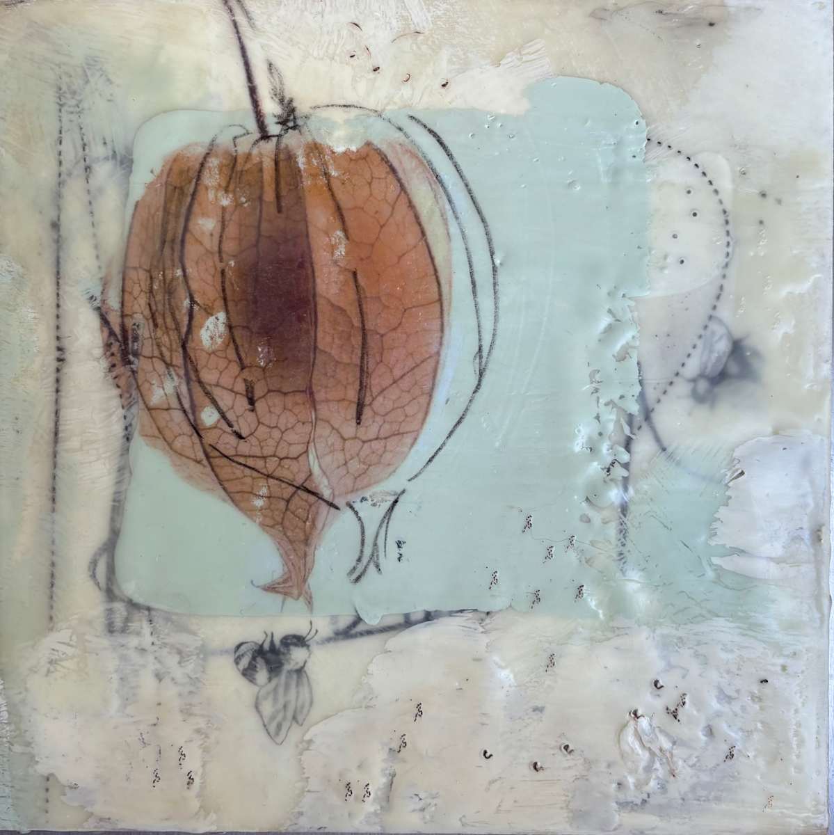 Ground Cherry by Lisa Herriott 
