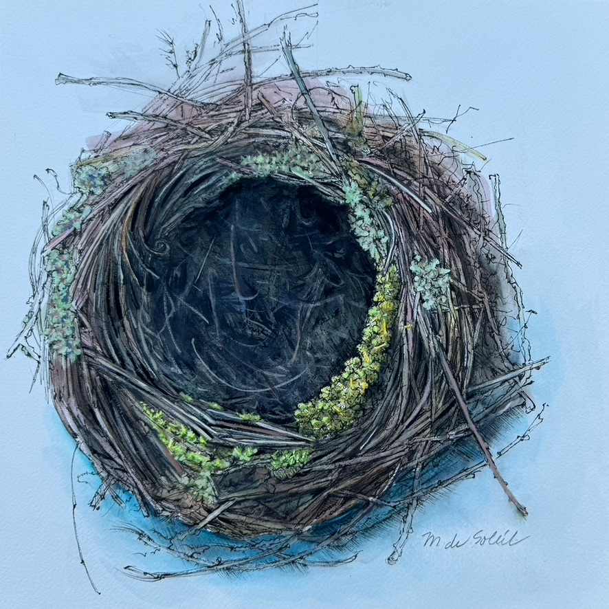 Nest with Lichen by Margarete de Soleil 