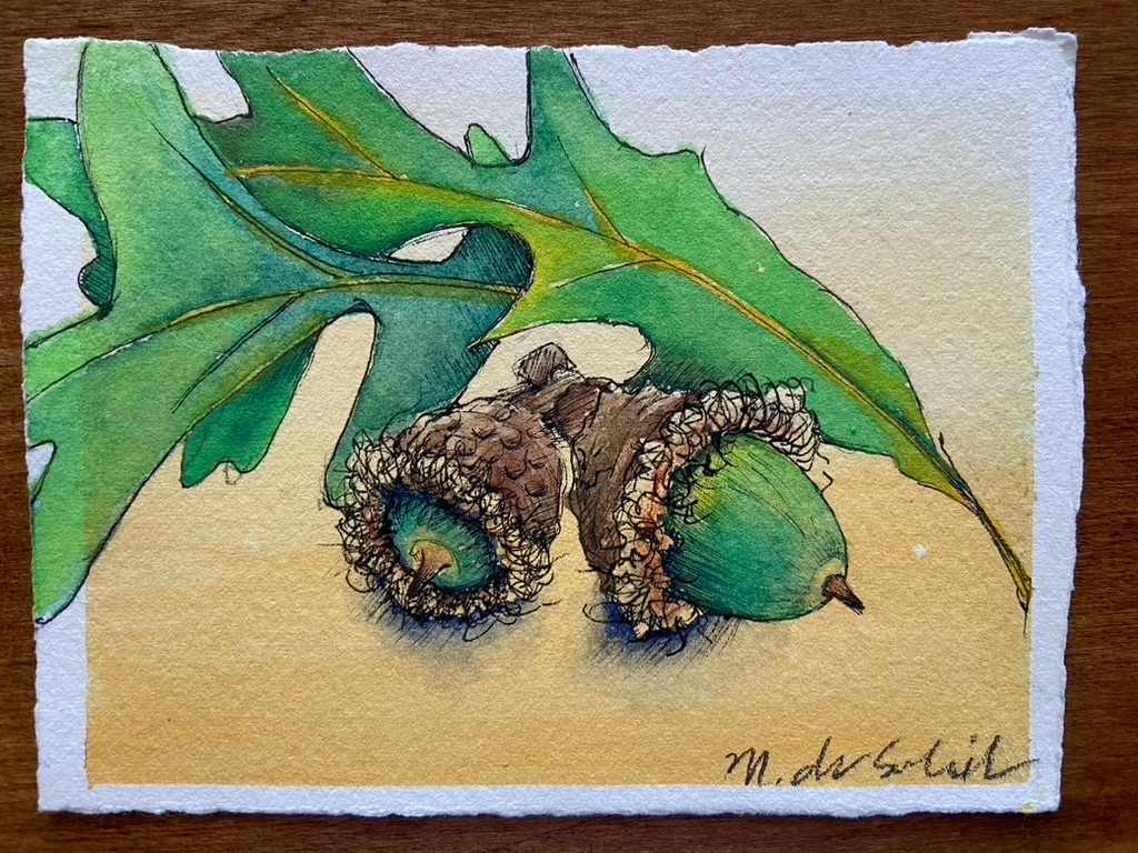 2 Acorns by Margarete de Soleil 