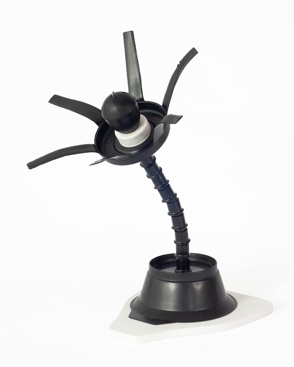 Impossible Plant III (black and white) by Eve De Jong 