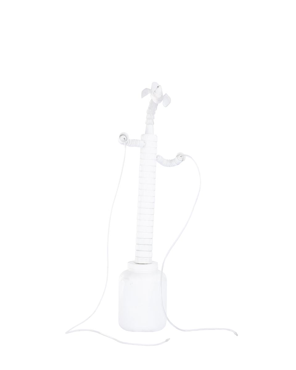 Giant Impossible Plant XII (white) by Eve De Jong 