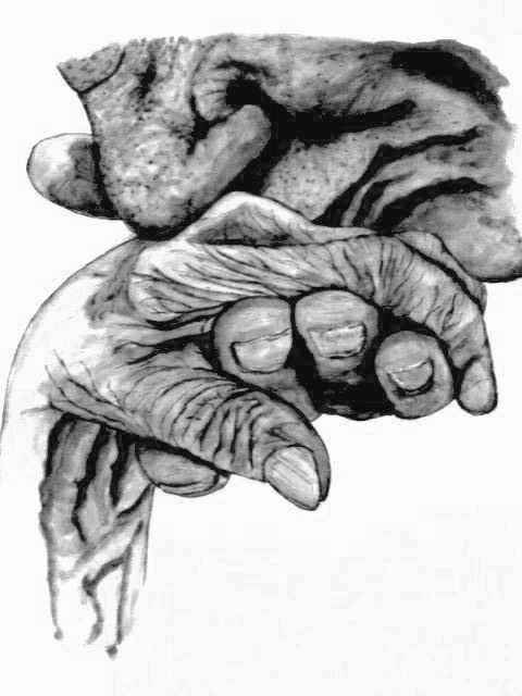 So Continential by Dawn Leigh  Image: A sweet, tender reminder of a time when a gentleman kissed a lady's hand. Both the receiver and giver show signs of age and well-lived lives. 