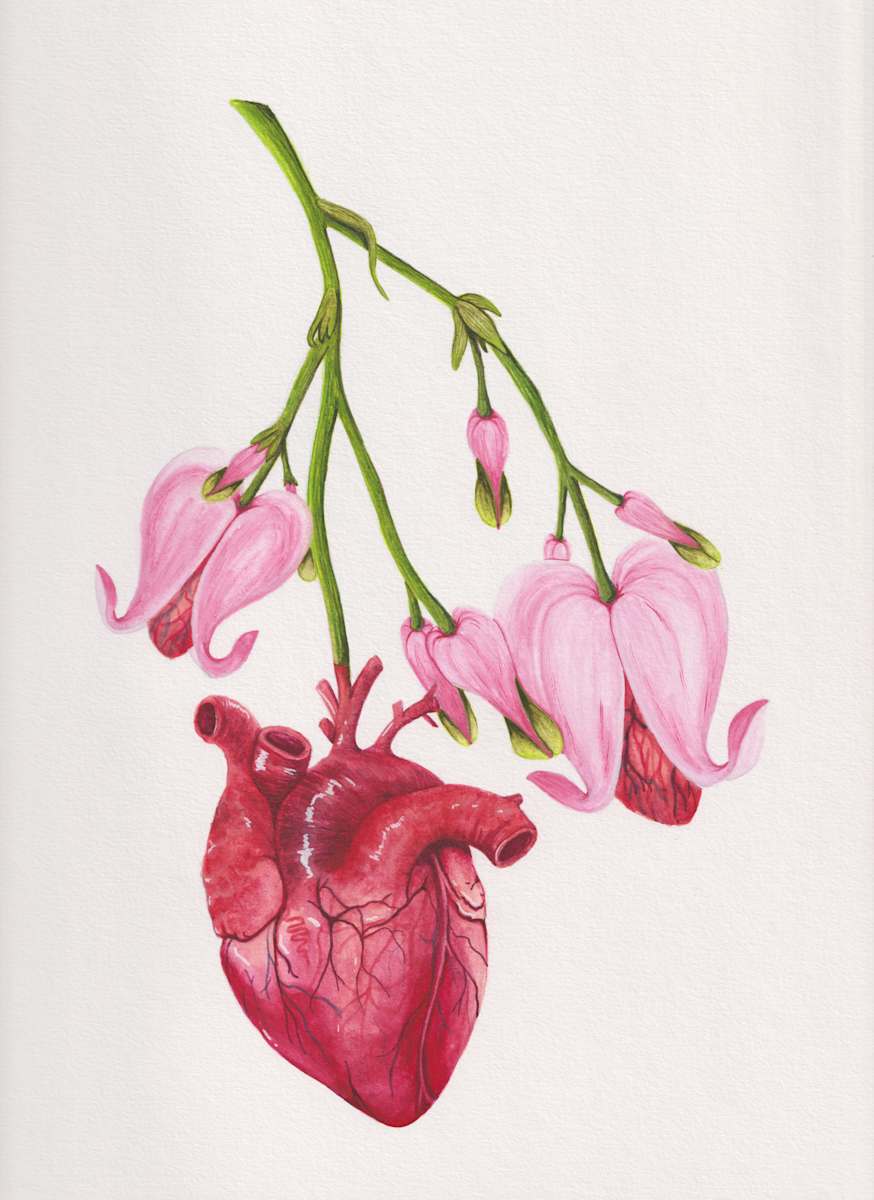Healed Heart by Stephenie Anderson 