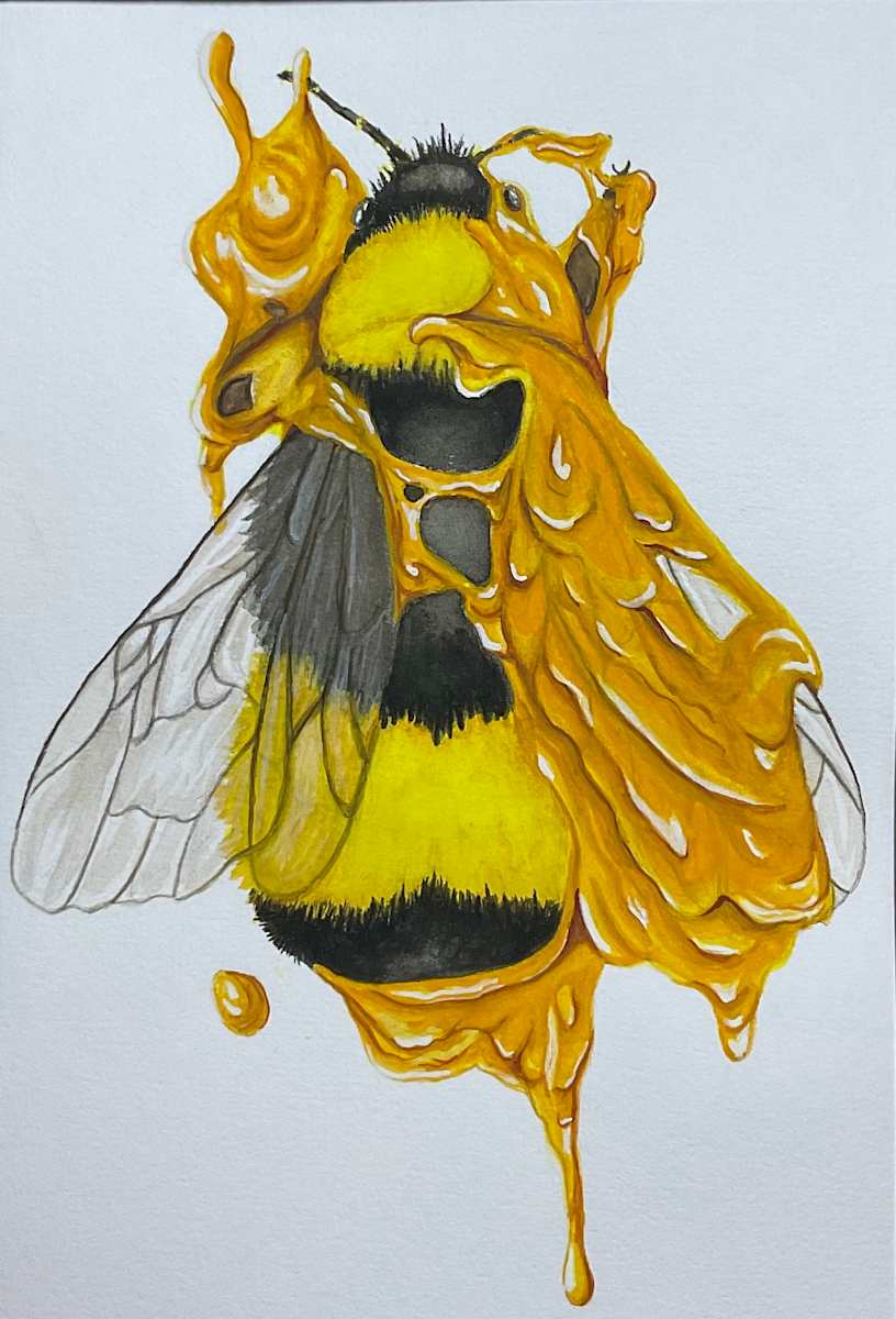 The Honey’s Bee by Stephenie Anderson 
