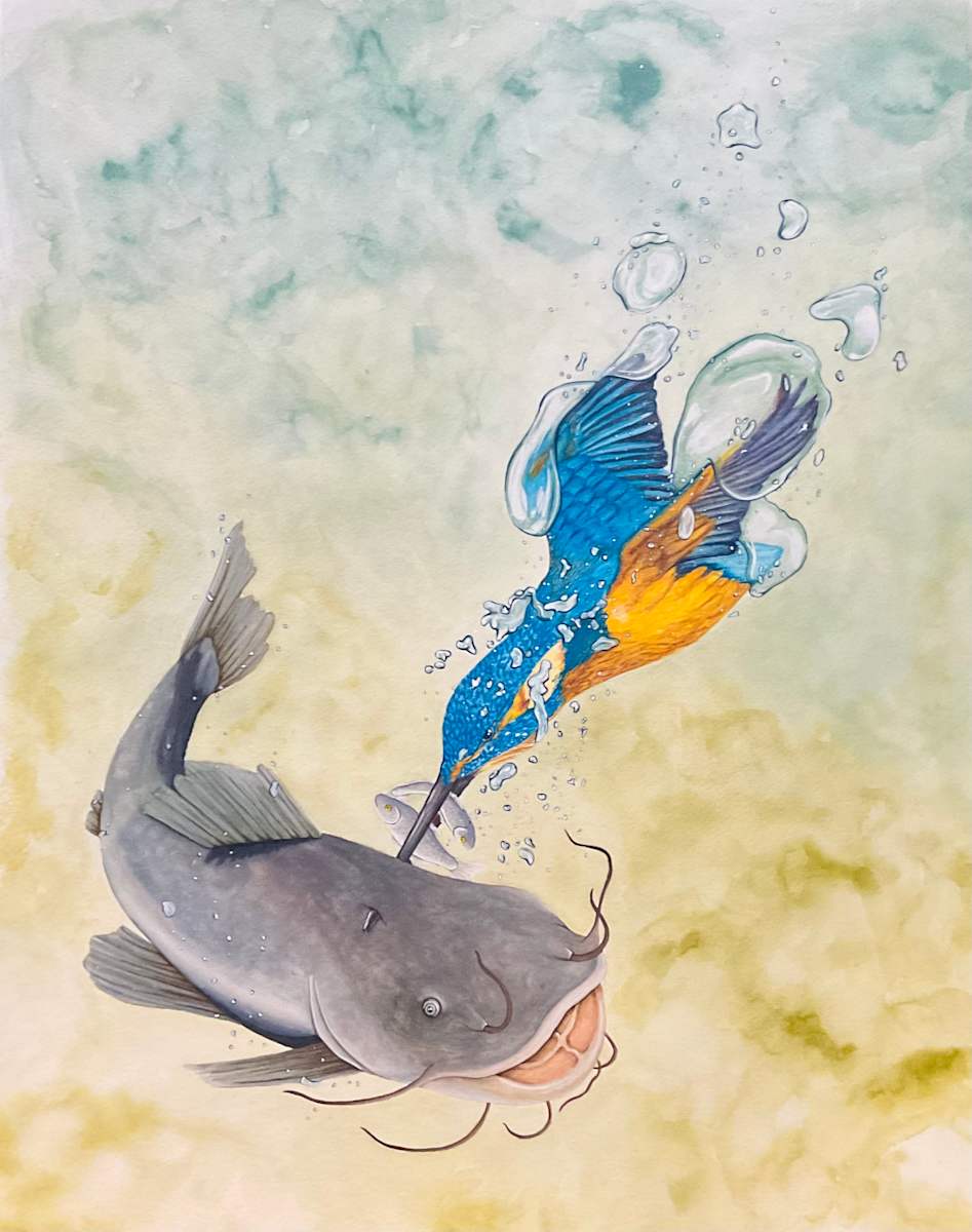 The Kingfishers Folly by Stephenie Anderson 