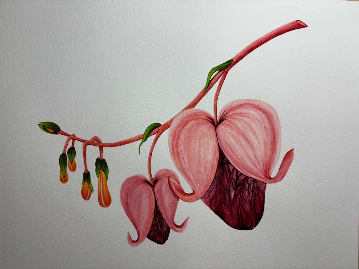Bleeding Hearts by Stephenie Anderson 