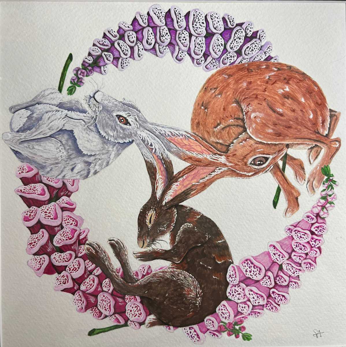 The Three Hares by Stephenie Anderson, Image 1.