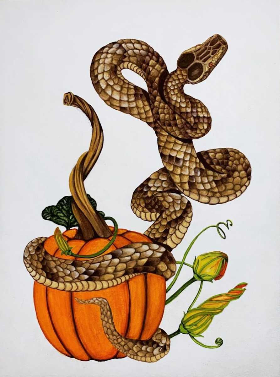 The Snake and the Rind by Stephenie Anderson 