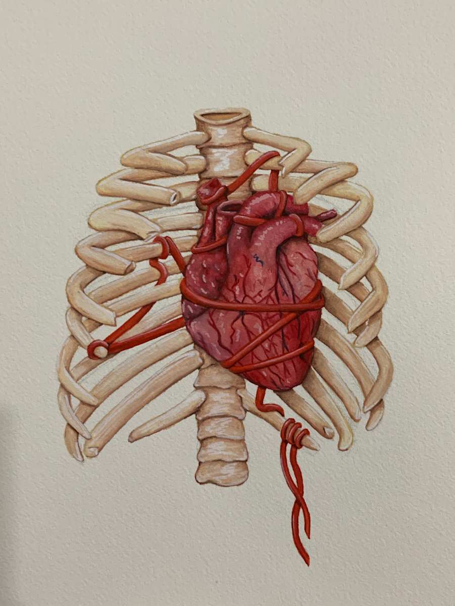 Mended by Stephenie Anderson, Image 1.