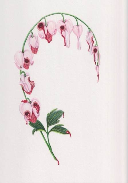 Wounded Hearts by Stephenie Anderson, Image 1.
