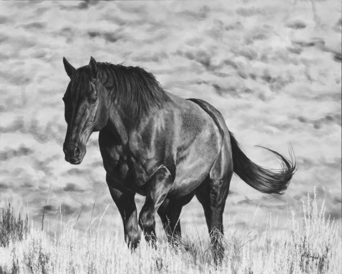 Capall Tréan by Amber Scally 