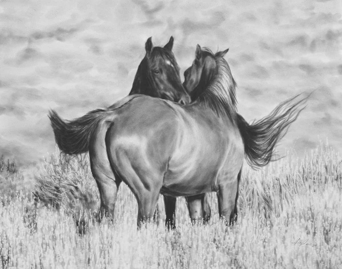 Cairdeas by Amber Scally 