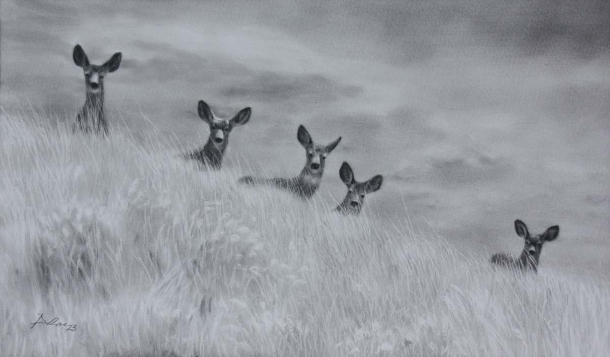 The Watchers by Amber Scally, Image 1.