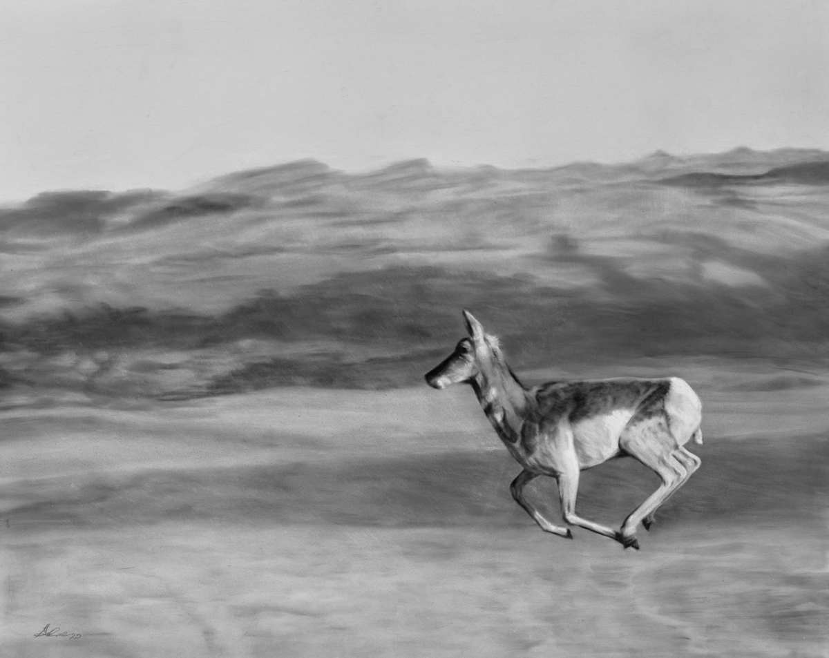 Run Away by Amber Scally 