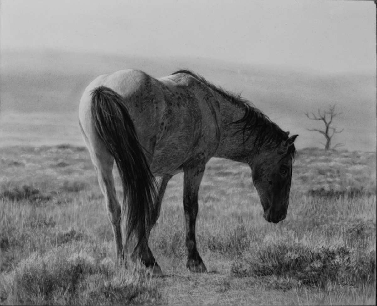 Solitary Bliss by Amber Scally, Image 1.