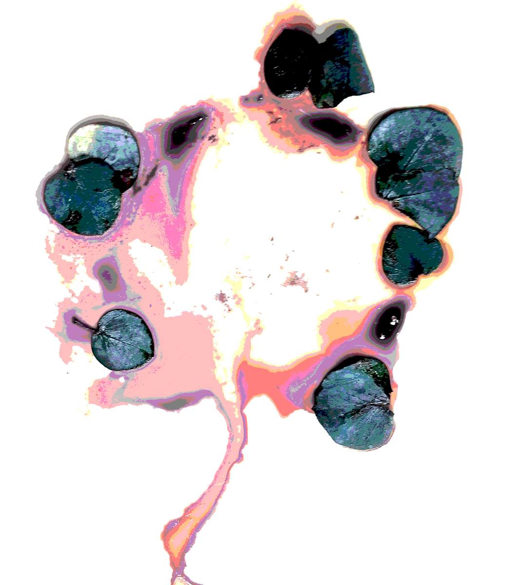 Abstract 6 by Ellen Gaube, Image 1.