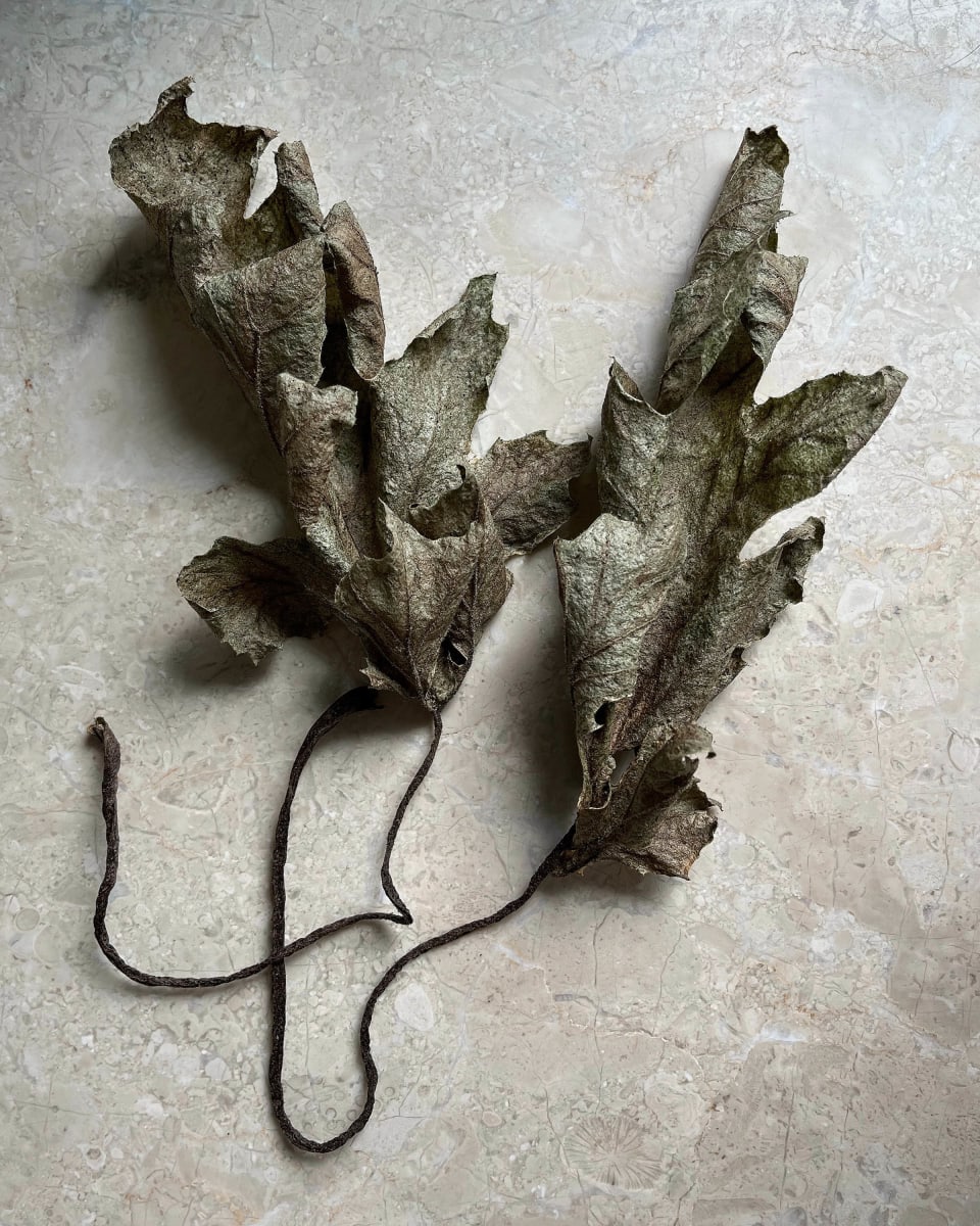 Acanthus Leaves by Ellen Gaube  Image: Acanthus Leaves 2
