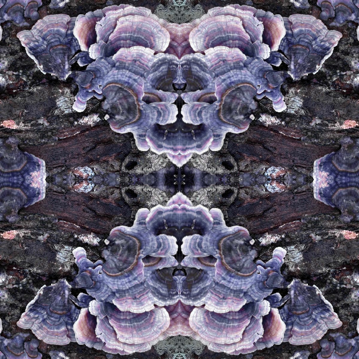 Alençon Lace 6 by Ellen Gaube  Image: Alençon Lace 6