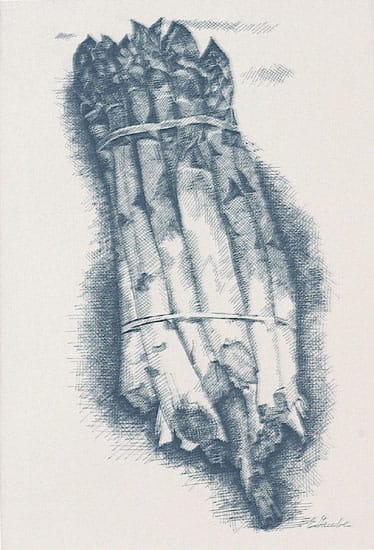 Asparagus by Ellen Gaube 