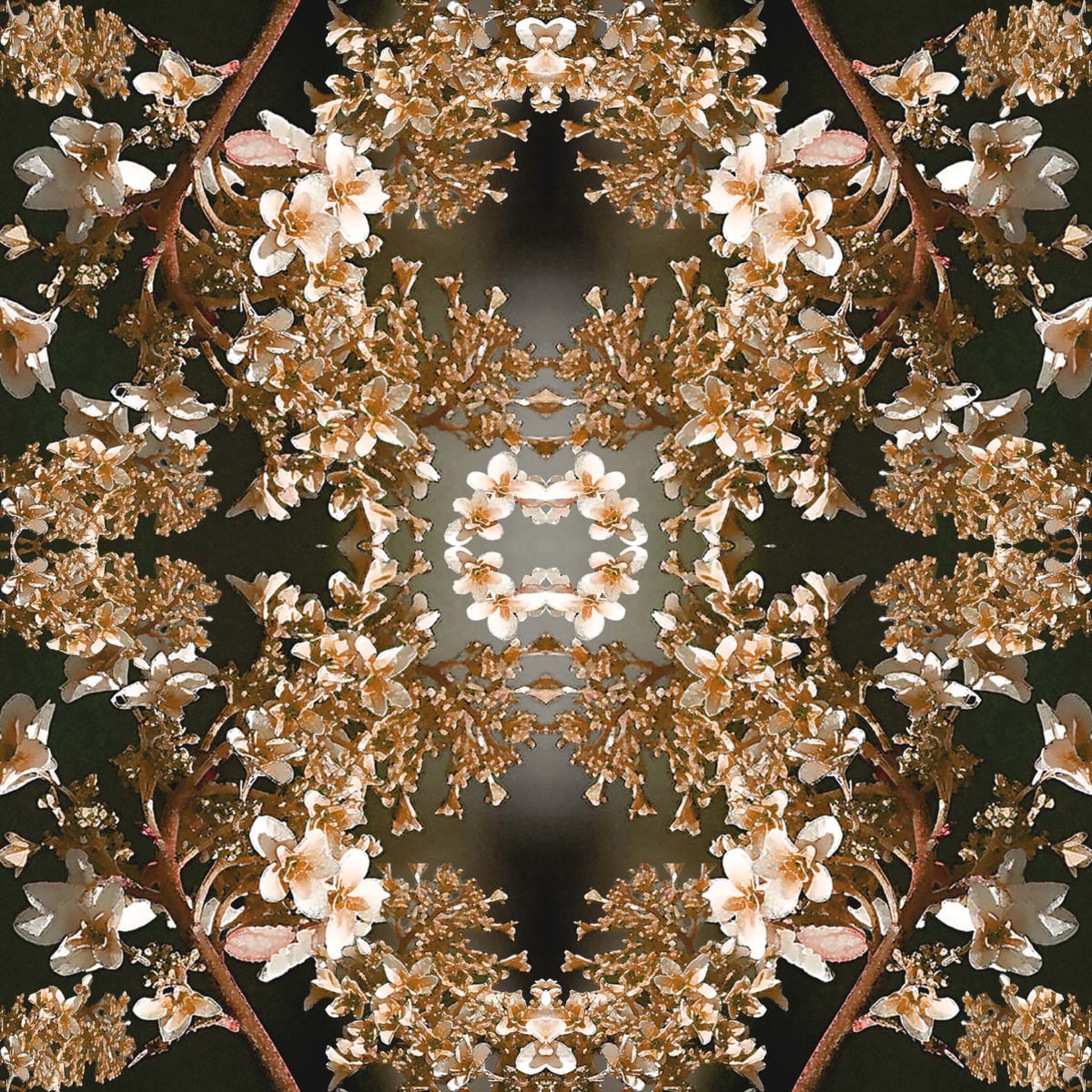 Bruges Lace 4A by Ellen Gaube  Image: Bruges Lace 4A