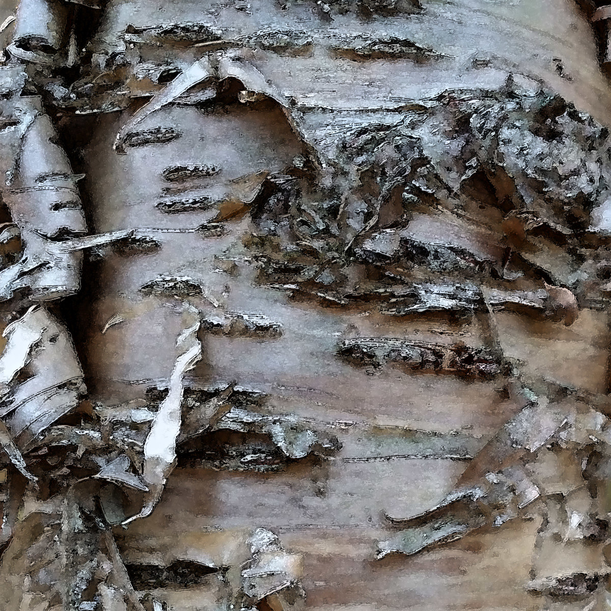 CW Birch 1A by Ellen Gaube 