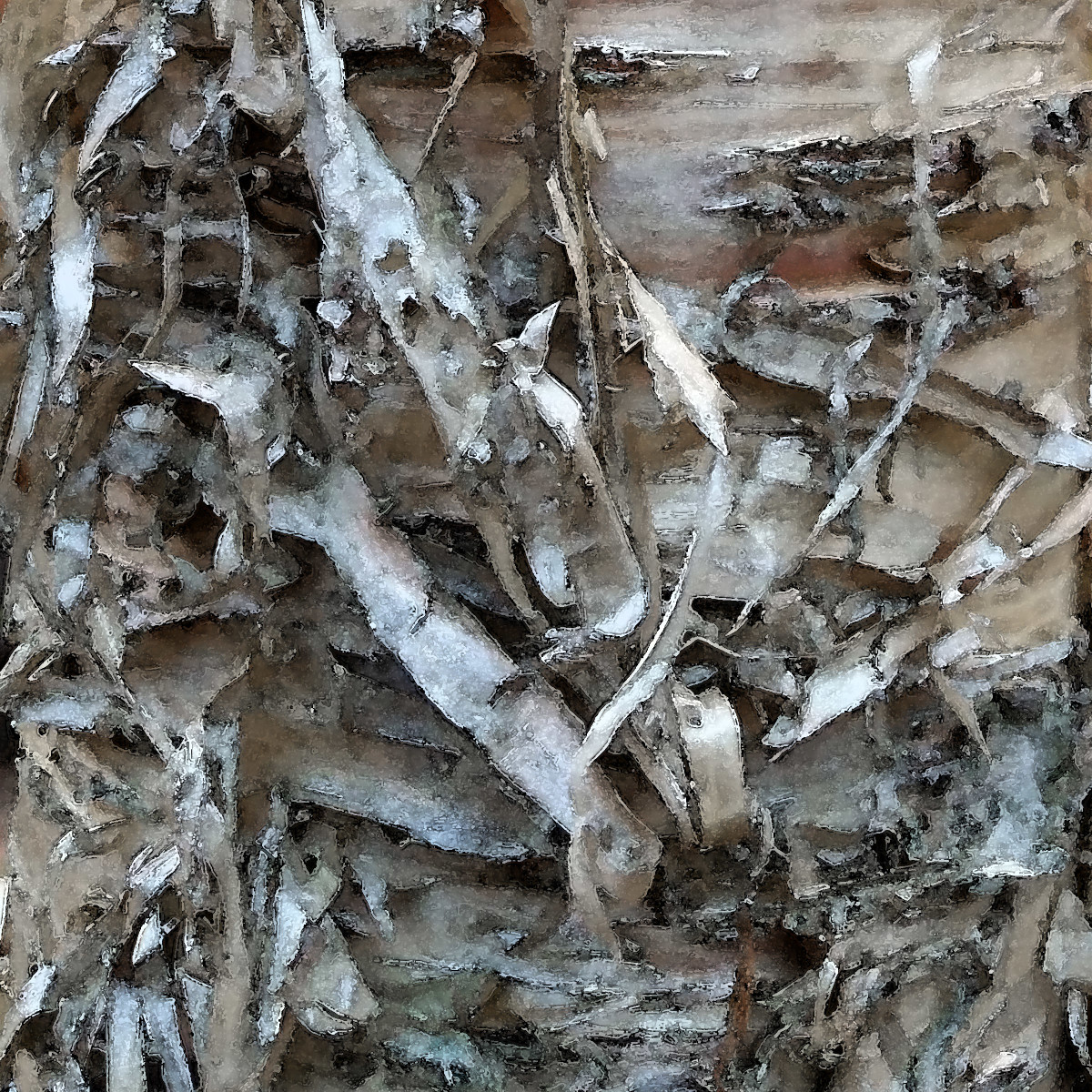 CW Birch 1B by Ellen Gaube 