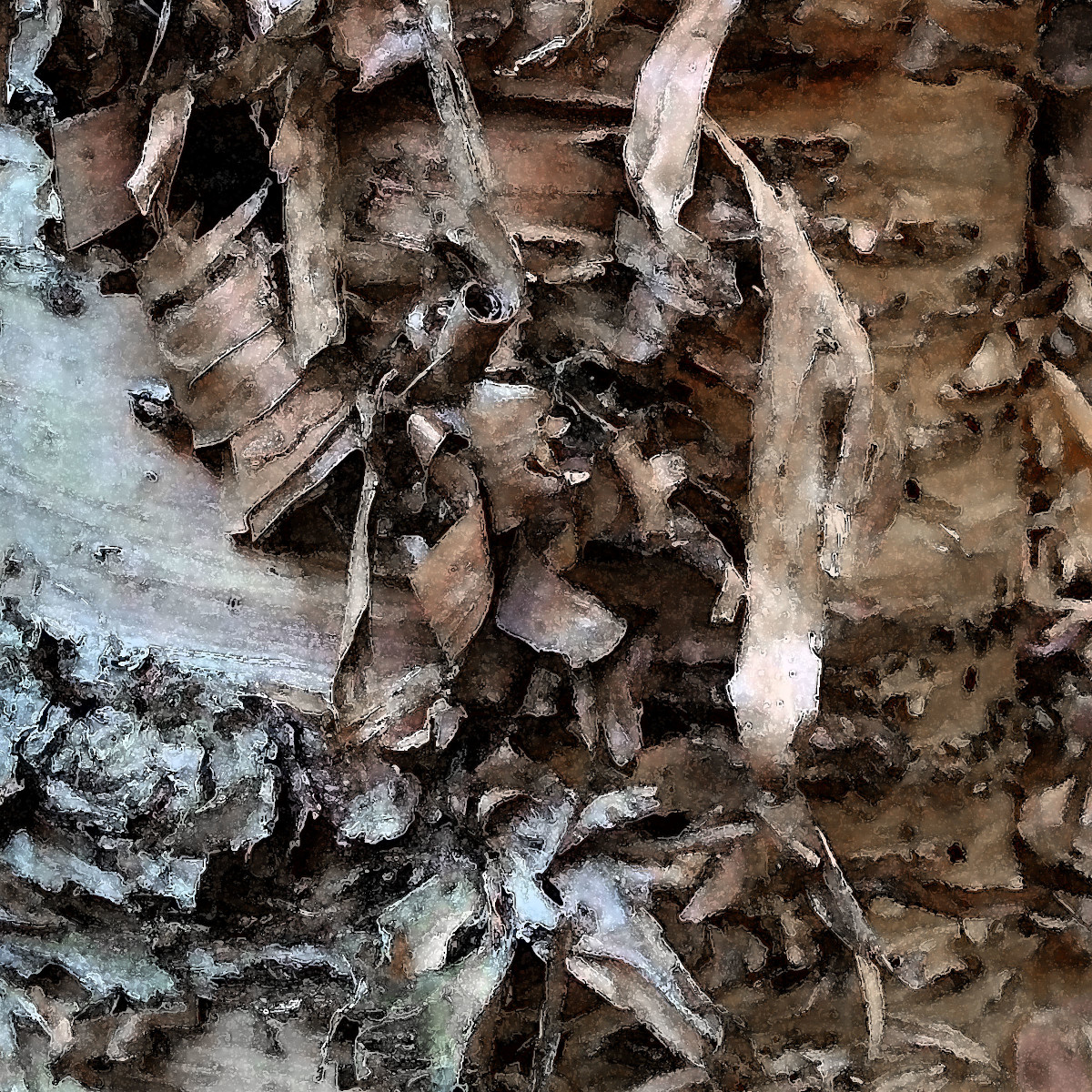 CW Birch 8 by Ellen Gaube 