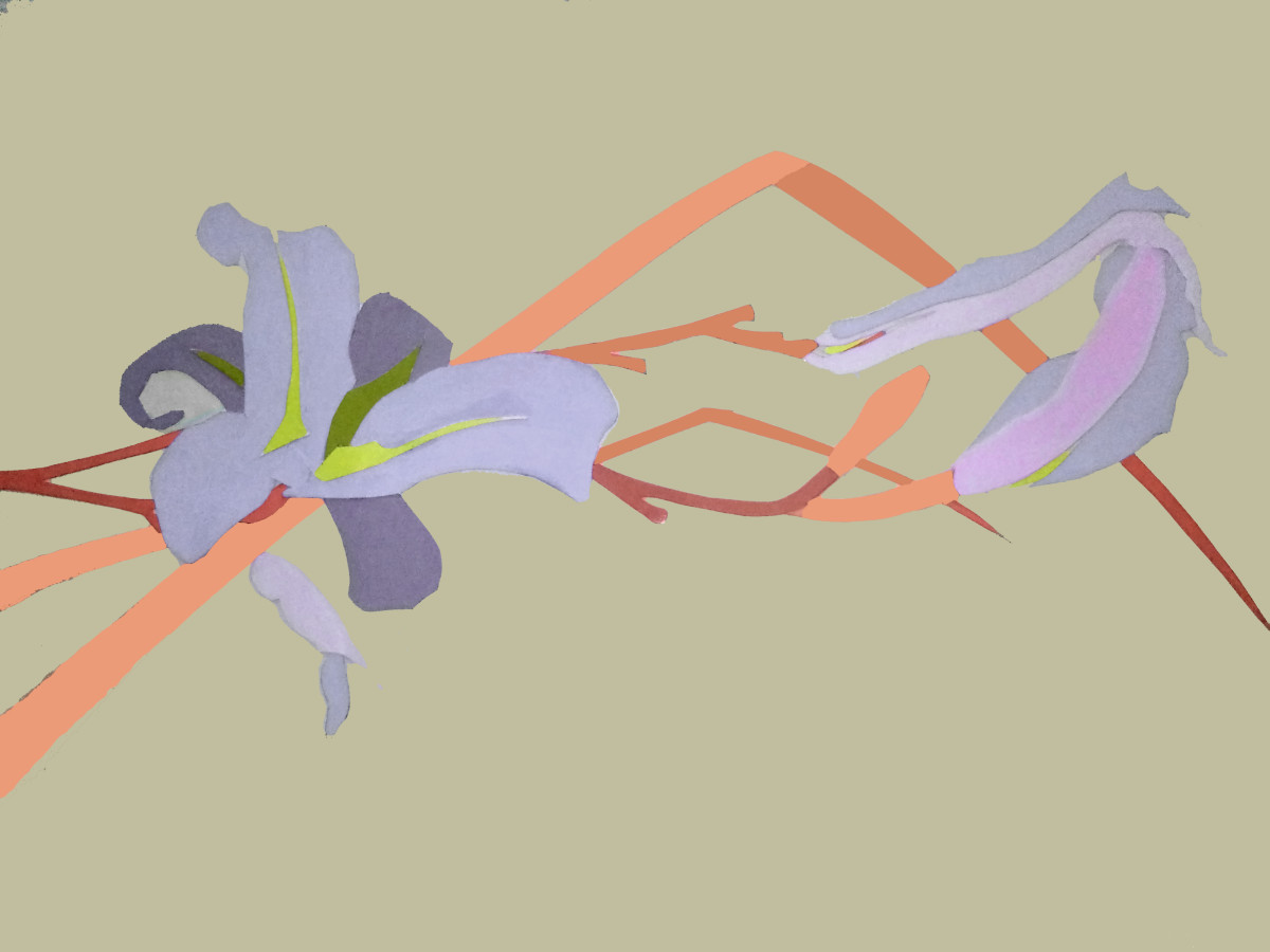 Daylily Collage by Ellen Gaube 