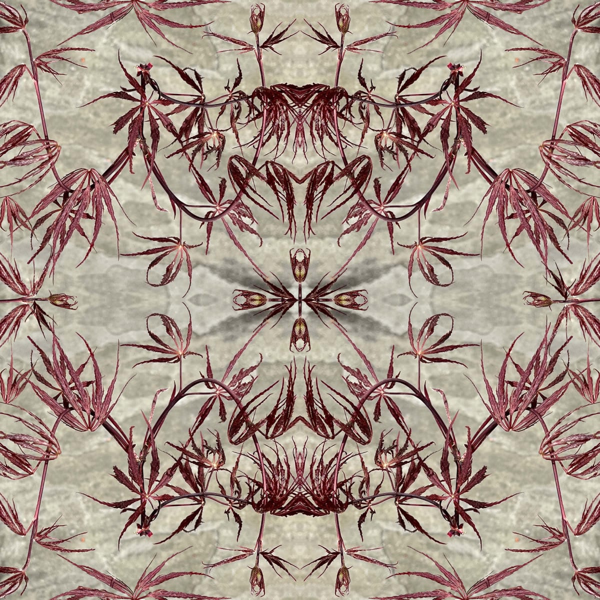Edo 10 by Ellen Gaube  Image: Edo 10