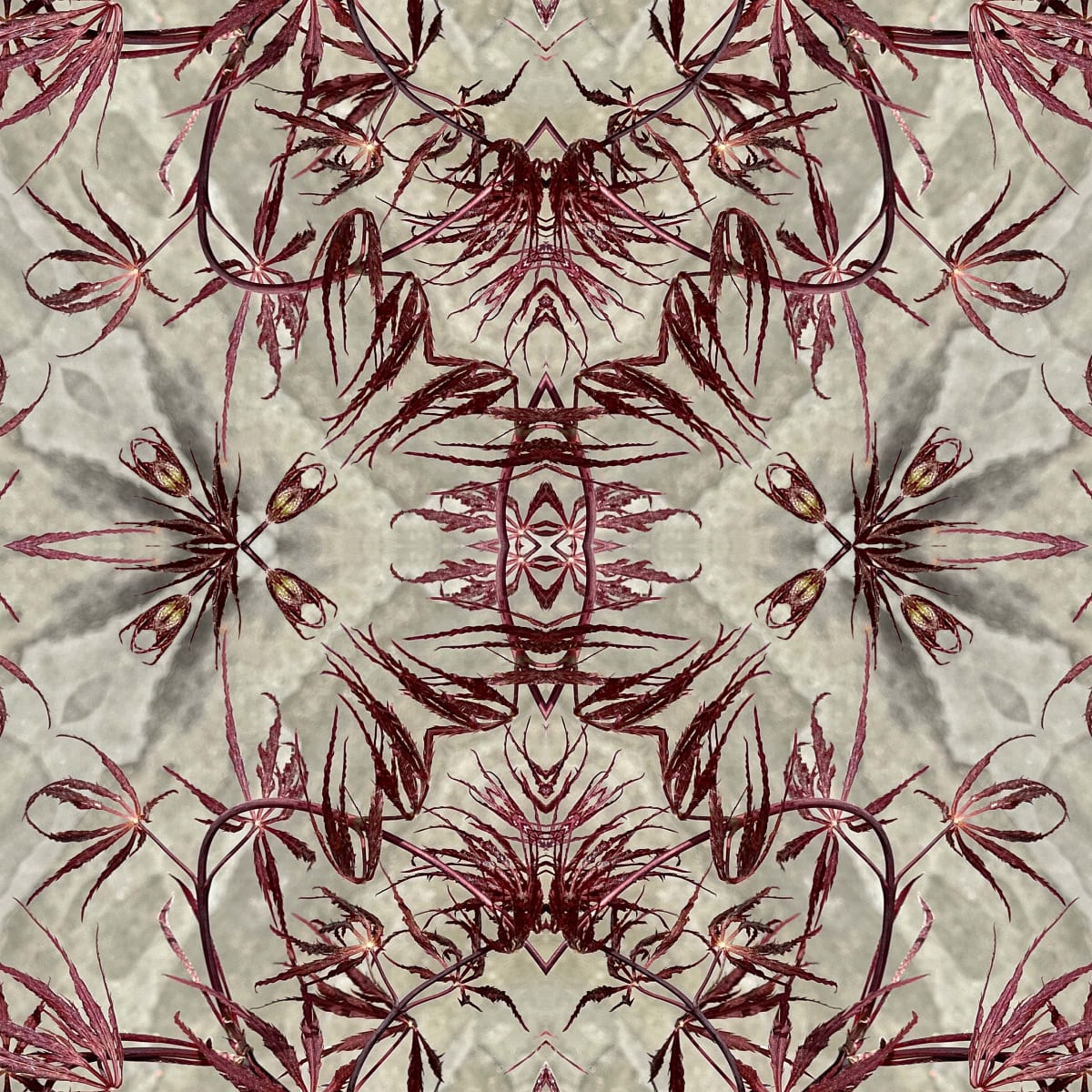 Edo 23 by Ellen Gaube  Image: Edo 23