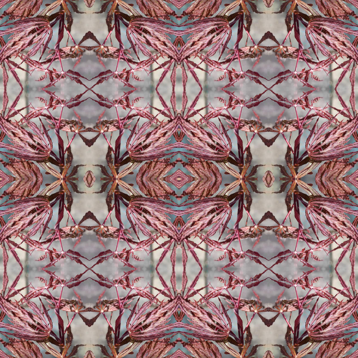 Nipon 8 by Ellen Gaube  Image: Nipon 8