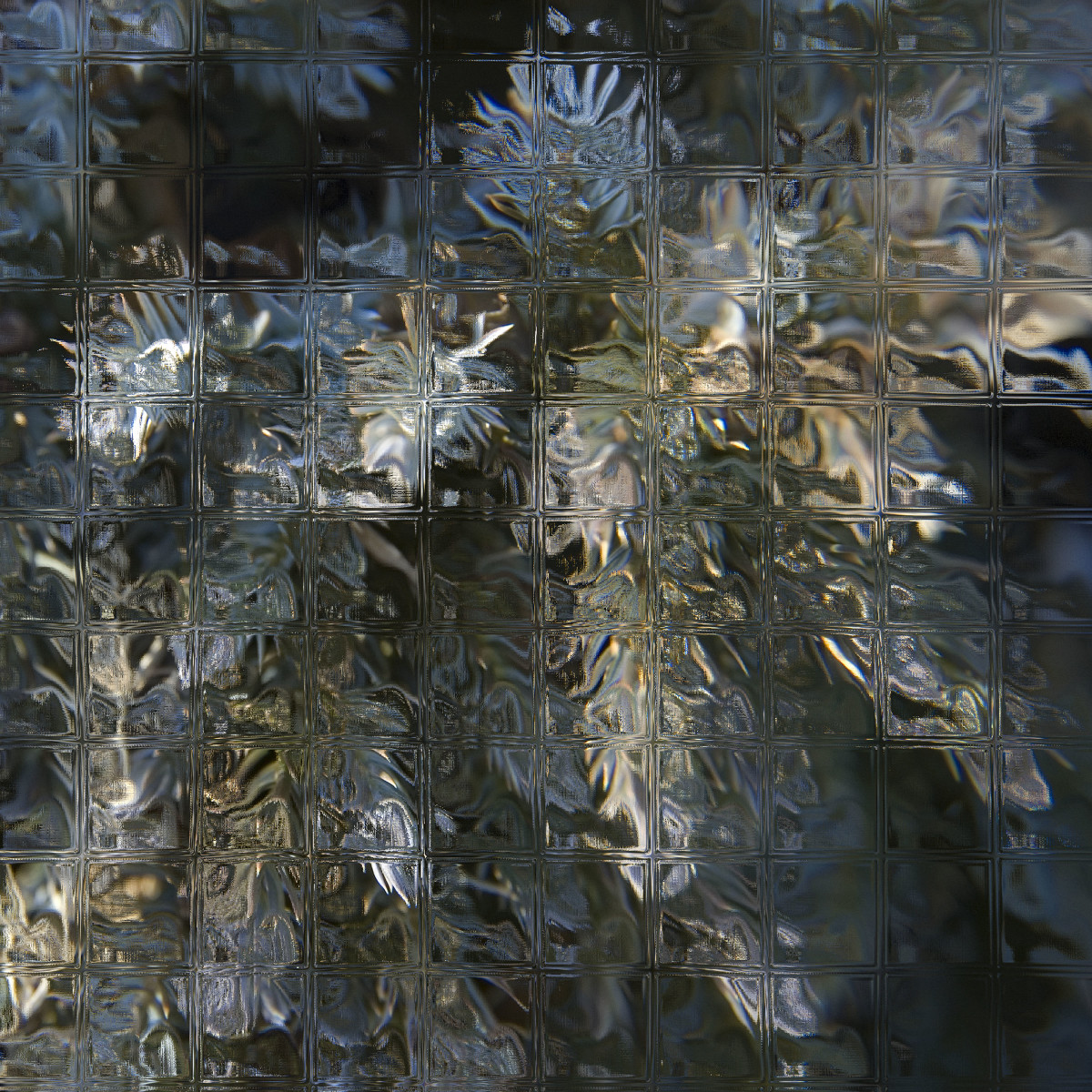 Glass Juniper A by Ellen Gaube 