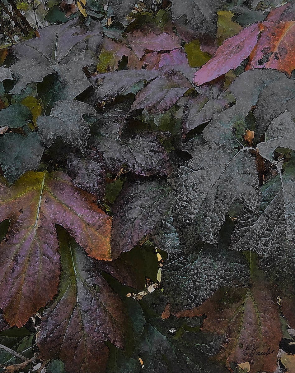 Hydrangea Leaves by Ellen Gaube  Image: Hydrangea Leaves