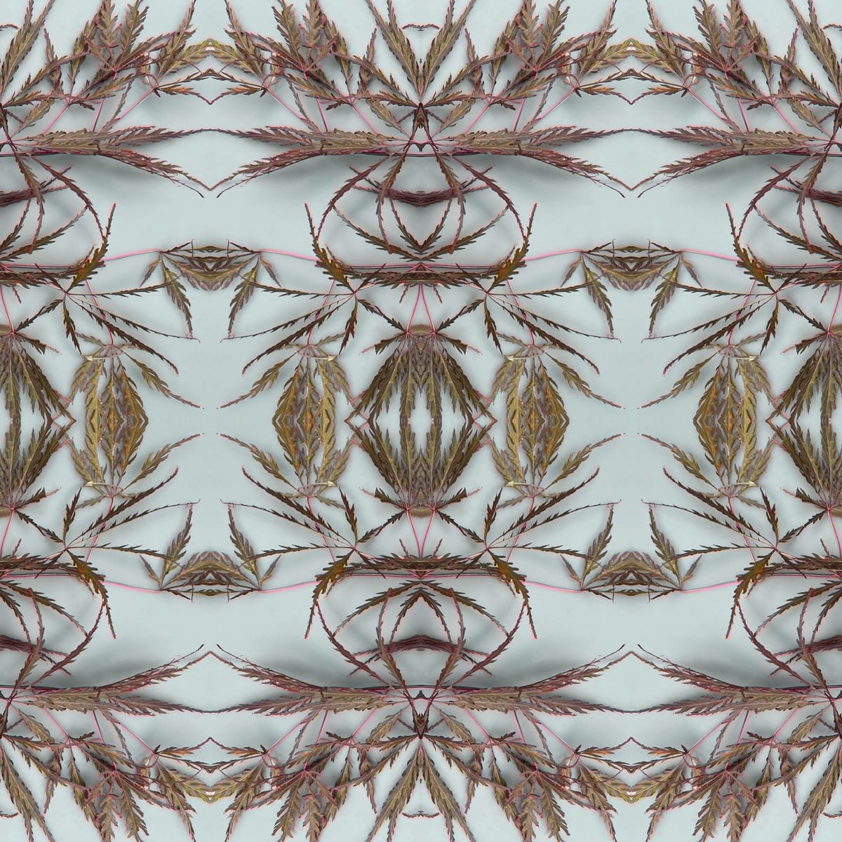 Kirié 5 by Ellen Gaube  Image: Kirié 5
