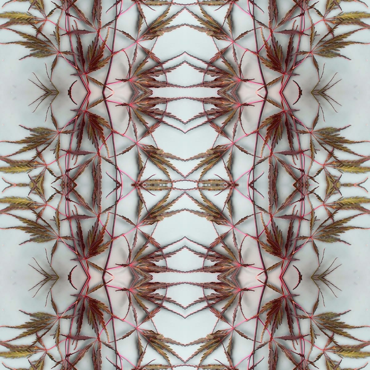Kirié 7 by Ellen Gaube  Image: Kirié 7