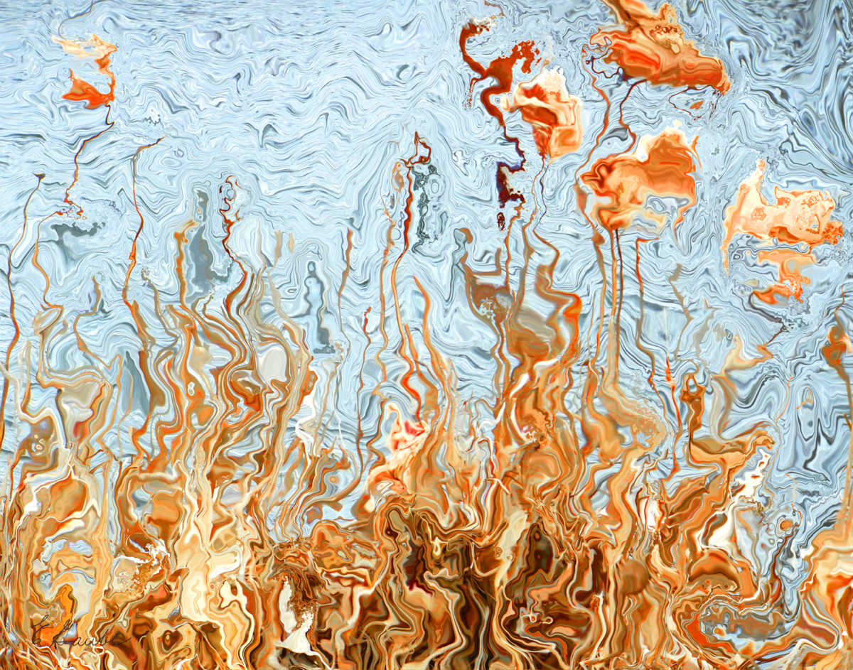 Laminaria by Ellen Gaube 