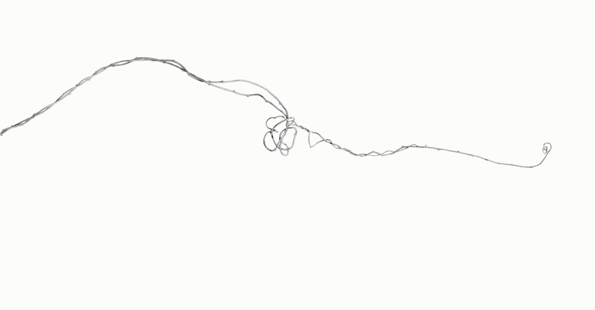 Lyric by Ellen Gaube  Image: Lyric