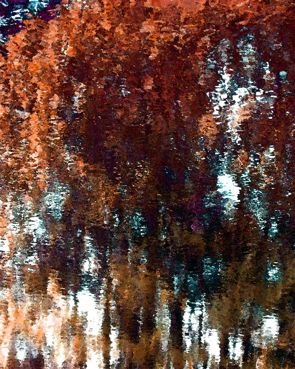 MBS 2DA by Ellen Gaube, Image 1.