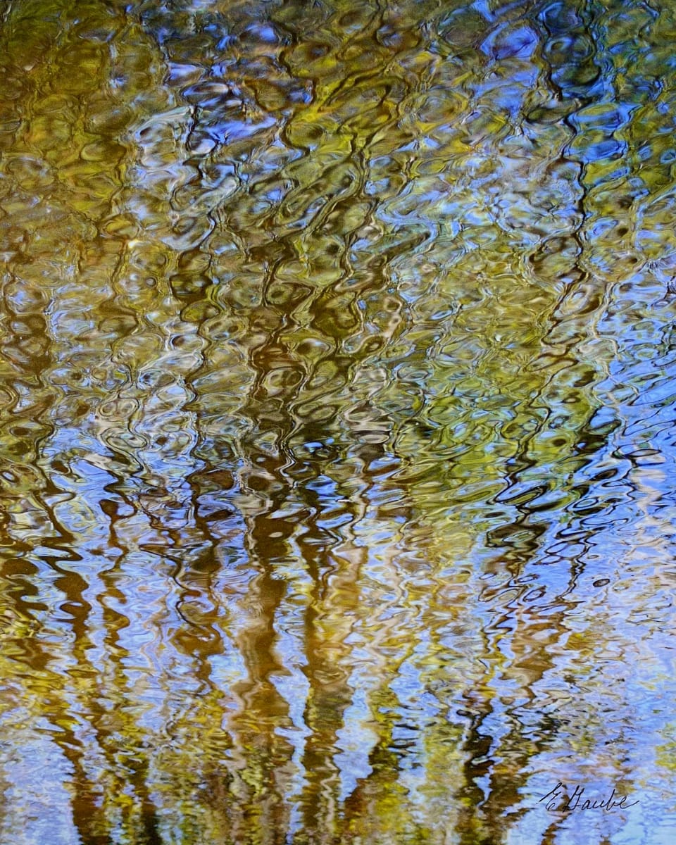 MBSu 2 by Ellen Gaube, Image 1.