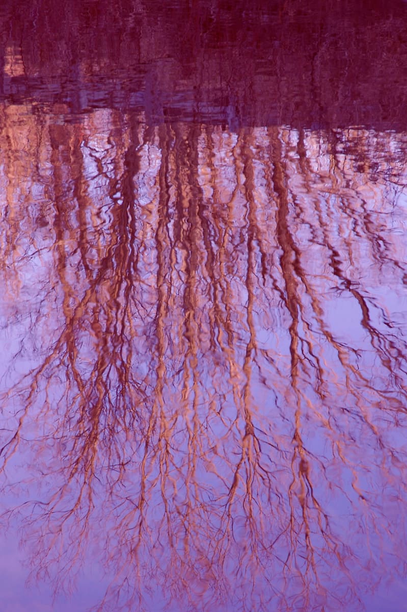 MBW 4A by Ellen Gaube, Image 1.