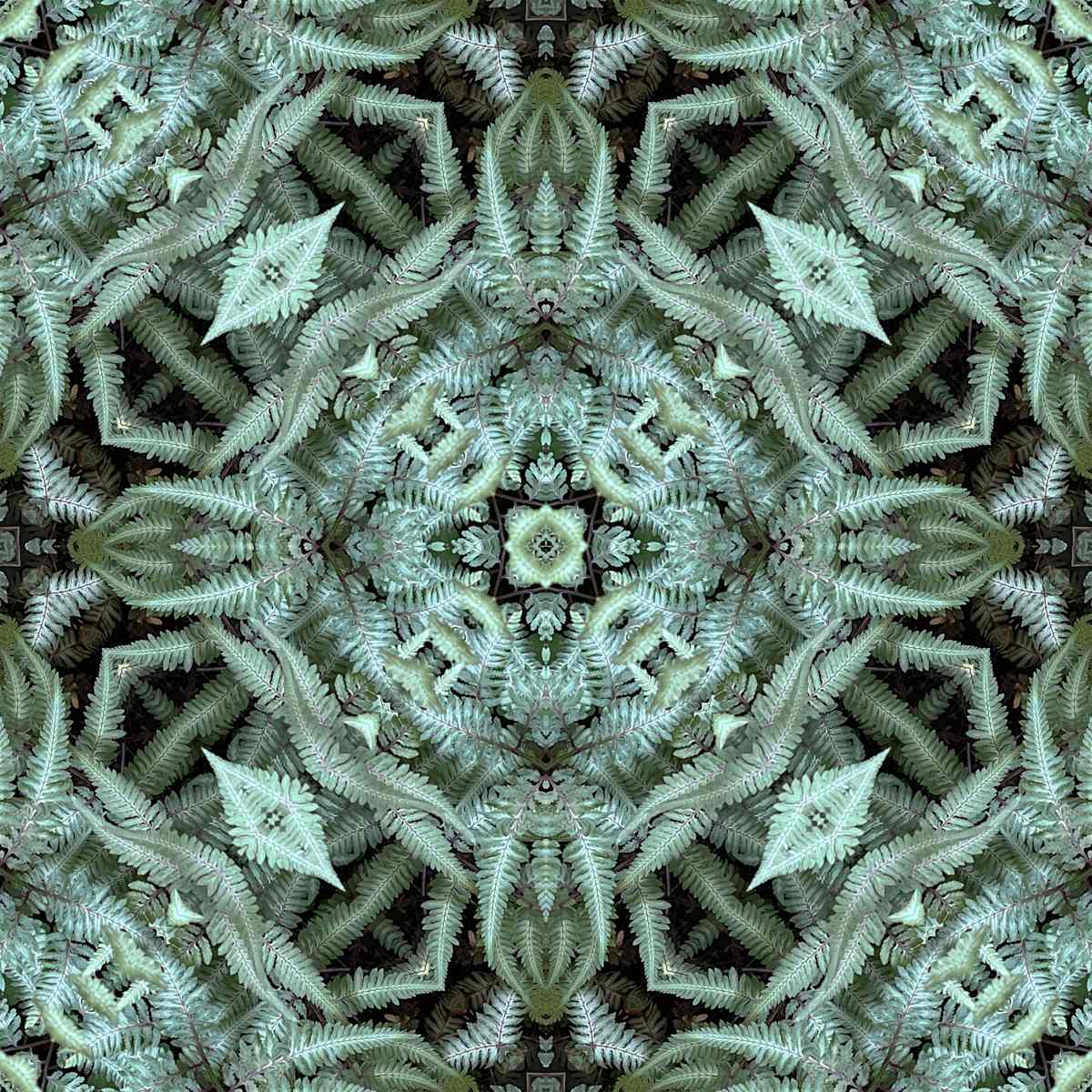 Nezu 4     1/10 by Ellen Gaube  Image: Nezu 4     1/10