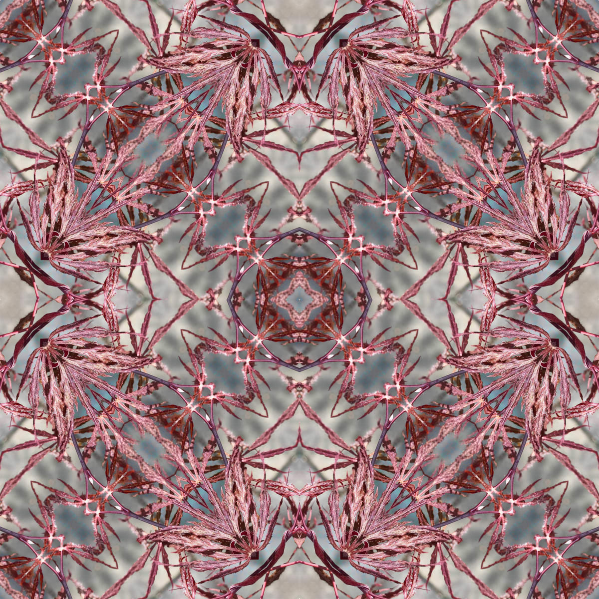 Nipon 11 by Ellen Gaube  Image: Nipon 11