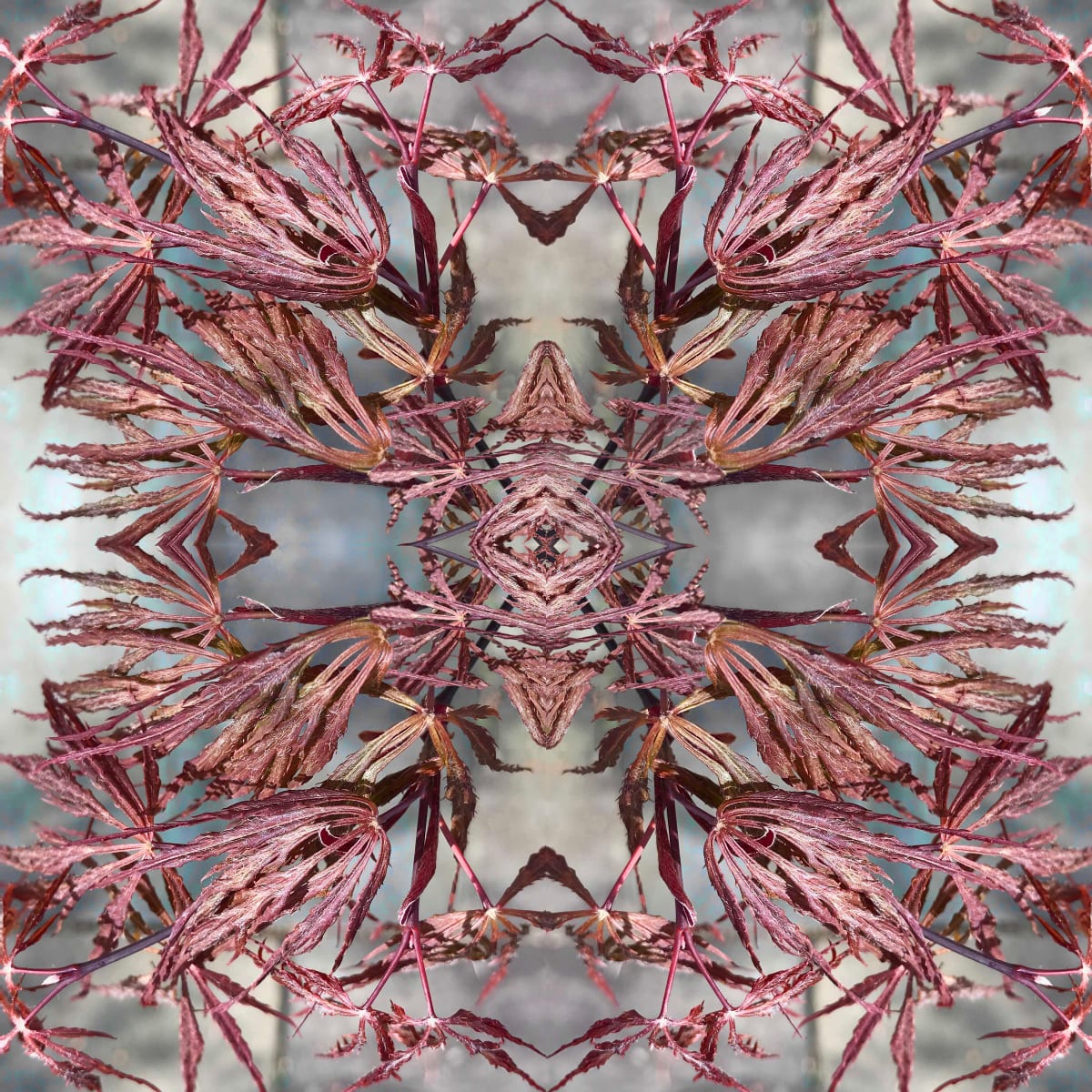 Nipon 1 by Ellen Gaube  Image: Nipon 1   1/50