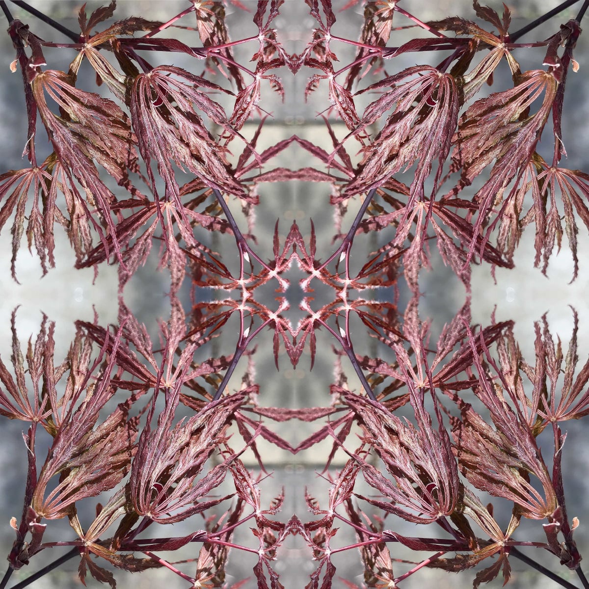 Nipon 22 by Ellen Gaube  Image: Nipon 22