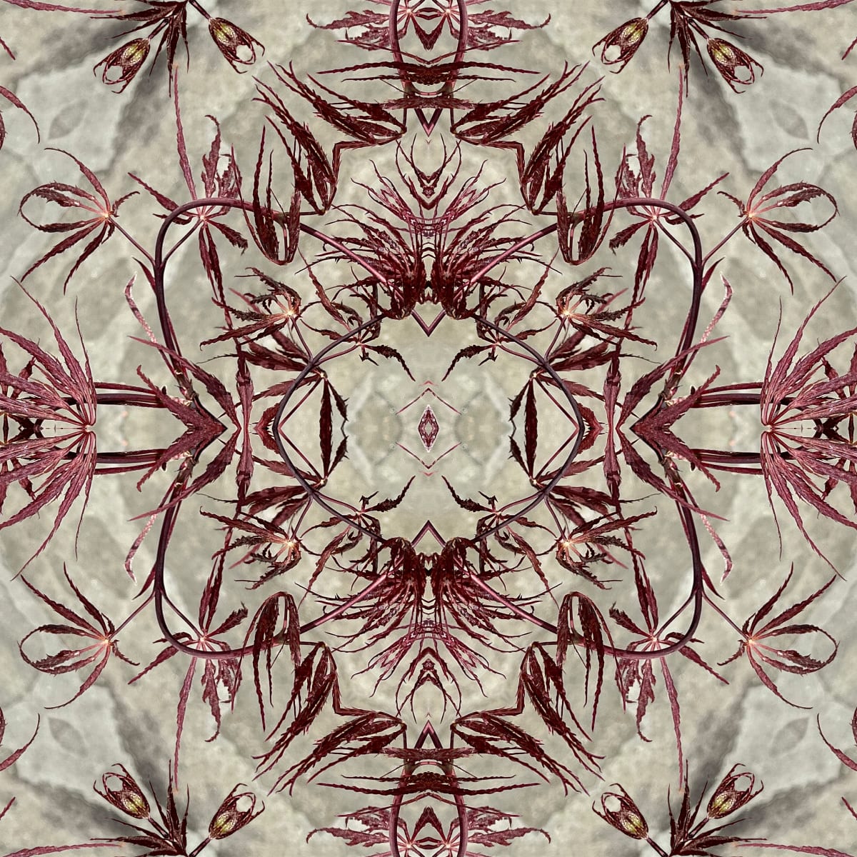 Edo 22 by Ellen Gaube  Image: Edo 22