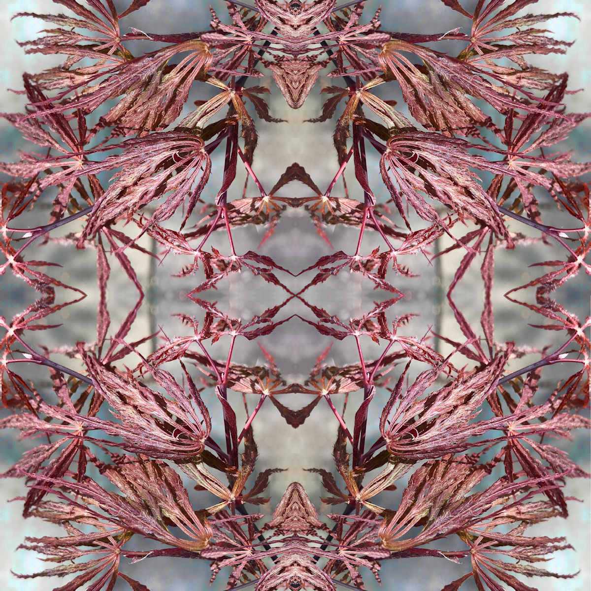 Nipon 2      2/50 by Ellen Gaube  Image: Nipon 2, 2/50