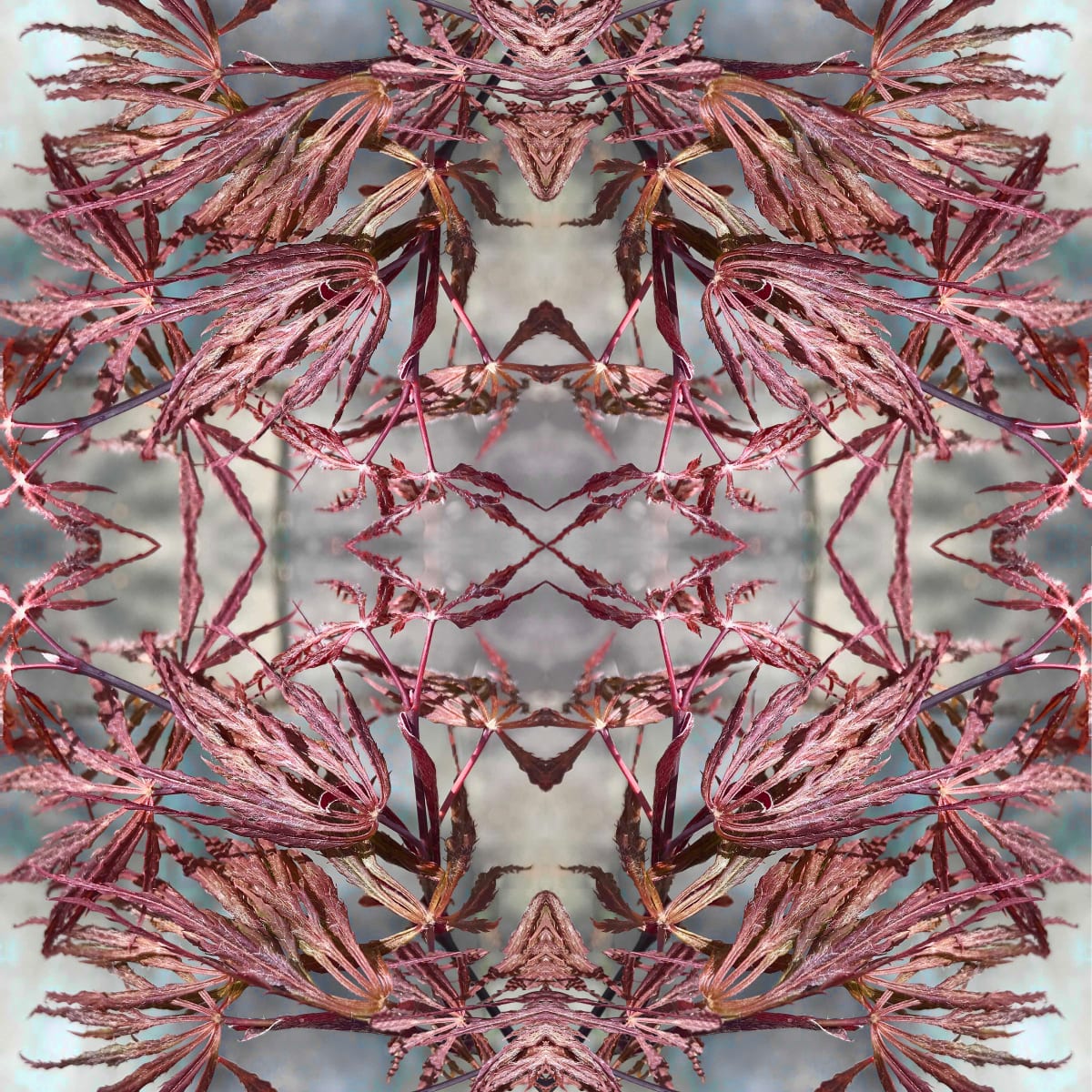 Nipon 2      1/50 by Ellen Gaube  Image: Nipon 2         1/50