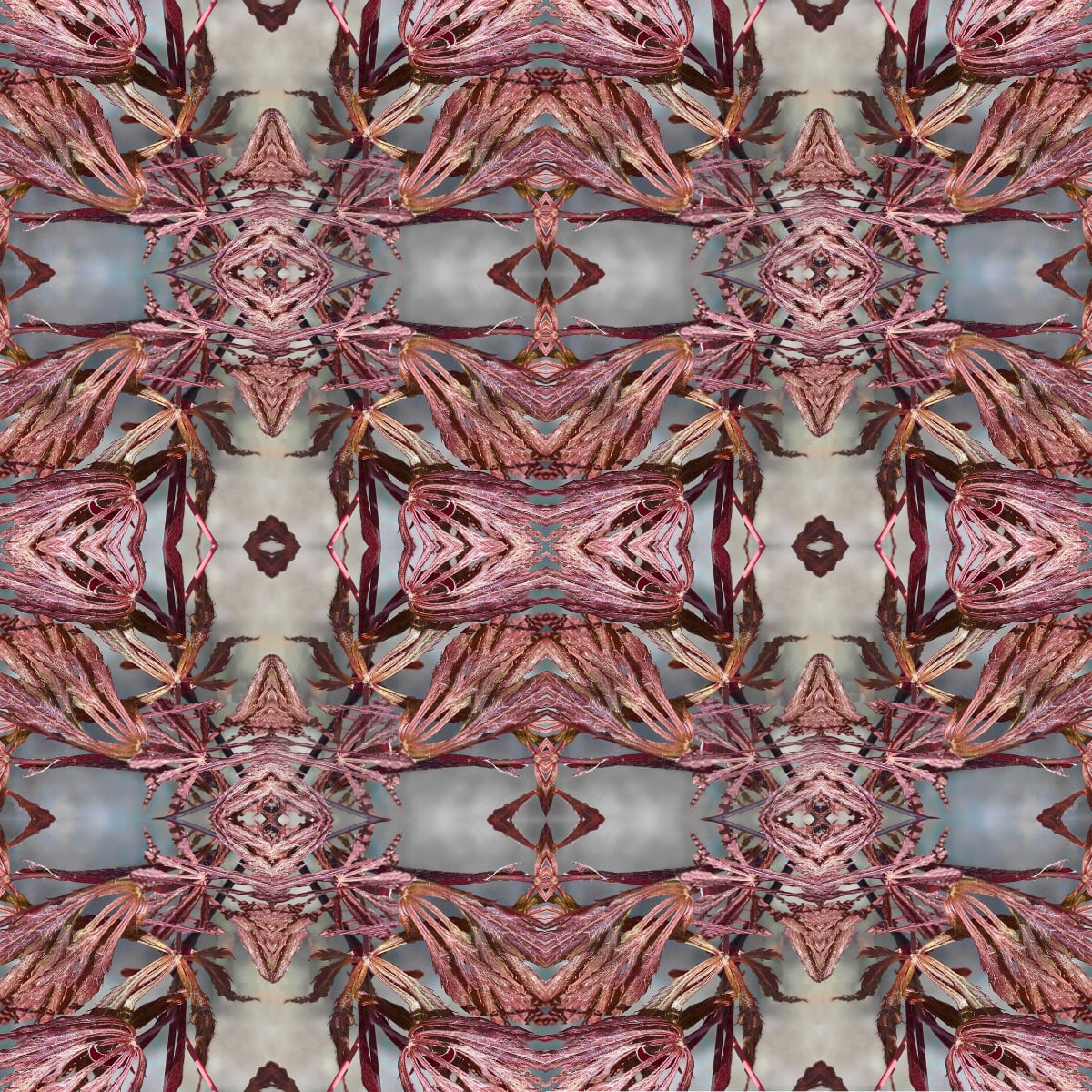 Nipon 6 by Ellen Gaube  Image: Nipon 6
