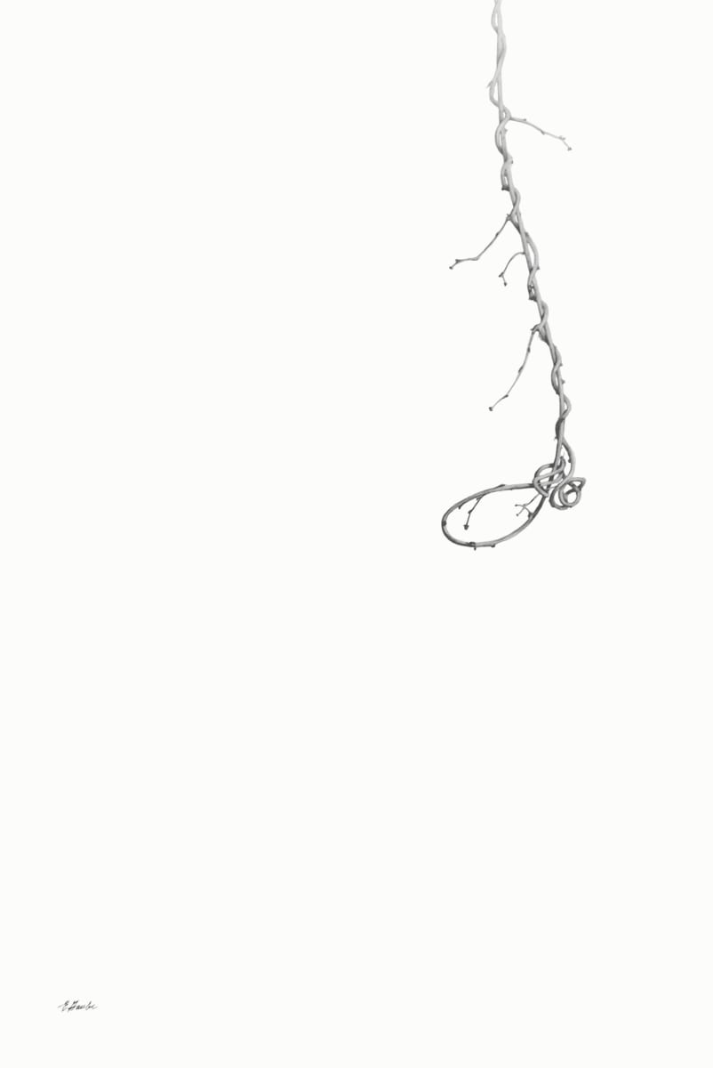 Noose by Ellen Gaube, Image 1.