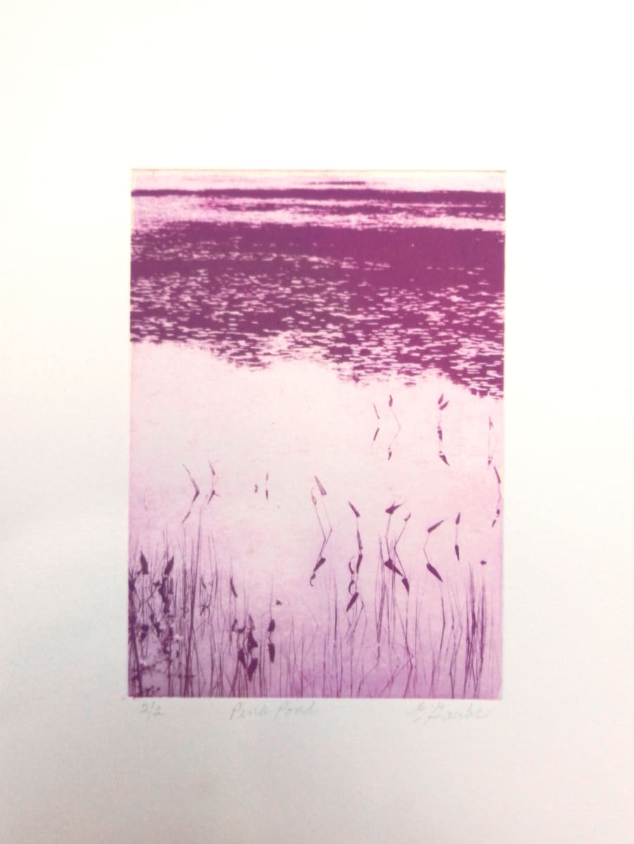 Pink Pond 1/2 by Ellen Gaube, Image 2.